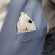 COSTUME DE MARIAGE MONTPELLIER - Le 18 Déstockage de luxe CASTELNAU LE LEZ