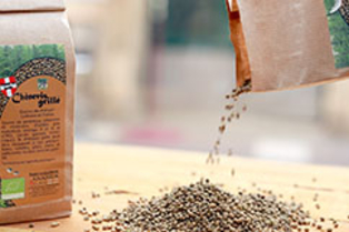 Seeds experience Montpellier: boutique CBD et chanvre de produits à base de CBD à découvrir en centre-ville. Ici graines de chénevis (® SAAM-Fabrice Chort)