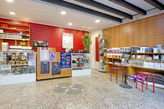 Seeds Experience Montpellier • Boutique CBD, graines de collection (® SAAM- fabrice CHORT)