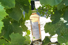 Domaine du Petit Chaumont • vin gris de gris • Cuvée Gris de Nathalie (® petit chaumont)