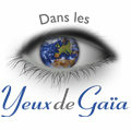 Dans les Yeux de Gaïa Montpellier propose de nombreuses idées cadeaux autour de l'ésotérisme, des bijoux et du bien être