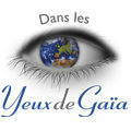 Dans les Yeux de Gaïa Montpellier propose de nombreuses idées cadeaux autour de l'ésotérisme, des bijoux et du bien être Dans les Yeux de Gaïa Montpellier propose de nombreuses idées cadeaux autour de l'ésotérisme, des bijoux et du bien être