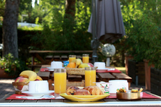 Petits-déjeuners gourmands de l’hôtel**- restaurant Halt Hôtel au Parc Saint Hubert de Lattes (credits photos : networld-Fabrice Chort)
