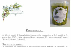 Olidoc Clermont l'Hérault annonce l'obtention de l'AOC pour l'olive verte Lucques du Languedoc