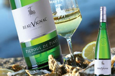 Les Costières de Pomérols proposent de nombreux vins blancs à découvrir au caveau (® costières de Pomérols)