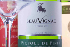 Les Costières de Pomérols proposent notamment des vins Picpoul de Pinet (® costières de Pomérols)