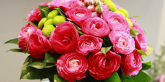 Fleuriste Montpellier bouquet de roses montpellier(® NetWorld- Fabrice Chort)