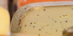 Fromages Montpellier (® networld-Fabrice Chort)