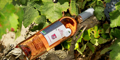 Vin Montpellier ici le vin rosé du Domaine du Petit Chaumont producteur de Vins de Sable Bio dans la commune d’Aigues Mortes (® NetWorld – Fabrice Chort)